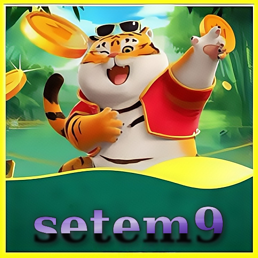 setem9 Logo